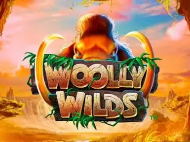 Bob Casino screenshot